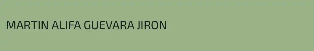 MARTIN ALIFA GUEVARA JIRON
